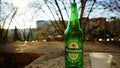 One Heineken glass bottle seen against the light. Danish beer Royalty Free Stock Photo