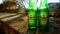 One Heineken glass bottle seen against the light. Danish beer well known for its green bottle Royalty Free Stock Photo