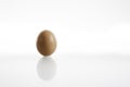 One hen or chicken egg isolated on white background with reflex on glass