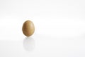 One hen or chicken egg isolated on white background with reflex on glass