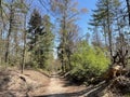 One of the hills during the MTB trail around Zeddam