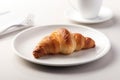 One hot homemade croissant on a white saucer.