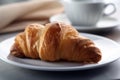 One hot homemade croissant on a white saucer.