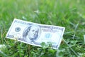 One hundred dollar American banknote in the grass. Throwing money to the wind Royalty Free Stock Photo