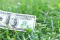 One hundred dollar American banknote in the grass Royalty Free Stock Photo