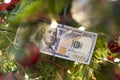 One hundred dollar bill on a christmas tree branch. Concept. Royalty Free Stock Photo