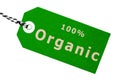 One Hundred Percent Organic Green Cardboard Label Tag With String