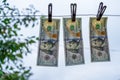 One hundred US dollar bills hanging pinned with clothespins close-up against a cloudy sky. Money laundering is illegal. Drying up Royalty Free Stock Photo