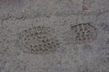 Imprint soles of shoes on wet brown earth Royalty Free Stock Photo