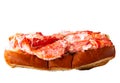 One individual fresh Maine lobster roll Royalty Free Stock Photo