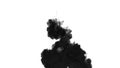 One ink flow, infusion black dye cloud or smoke, ink inject on white in slow motion. Black gouache reacts in water. Inky