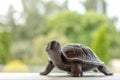 One iron brown turtle by the window in front of garden, enjoying countryside lifestyle