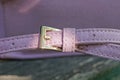 One iron yellow buckle on a pink leather harness