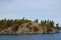 One Island in Thousand Islands, Ontario, Canada Royalty Free Stock Photo