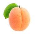 One isolated apricot fruit