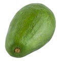 One isolated avocado Royalty Free Stock Photo