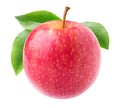 One isolated pink apple with long stem and leaves Royalty Free Stock Photo