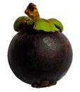 One isolated ripe whole mangosteen