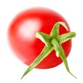 One isolated tomato on white background Royalty Free Stock Photo