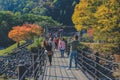 Unidentified people cross the bridge over Shogawa river to the Ogimachi Village