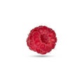 One juicy raspberry isolated on a white background Royalty Free Stock Photo