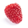 One juicy raspberry on white background