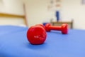 One kilo weights lies on a blue mat Royalty Free Stock Photo