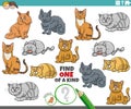 one of a kind game with cartoon cats and kittens Royalty Free Stock Photo