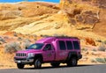 Famous Pink Jeep Truck