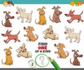 One of a kind task for children with dogs Royalty Free Stock Photo