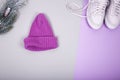 One knitted purple hat with Christmas tree branch and pink shoes Royalty Free Stock Photo
