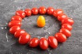 One kumquat in a circle of cherry tomatoes on a black concrete background, contrast, opposition concept