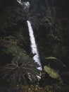 One of the La Paz waterfalls in Costa Rica Royalty Free Stock Photo