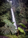 One of the La Paz waterfalls in Costa Rica Royalty Free Stock Photo