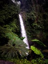 One of the La Paz waterfalls in Costa Rica Royalty Free Stock Photo