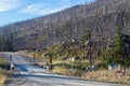 One lane bridge on a gravel road after a fire in the Lolo National Forest, Montana, USA Royalty Free Stock Photo