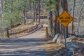 One Lane Bridge Warning Sign. Payson, Gila County, Tonto National Forest, Arizona USA Royalty Free Stock Photo