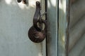 One large brown iron padlock hanging on a gray wooden door Royalty Free Stock Photo