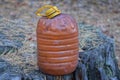 one large dirty brown plastic bottle stands on the stump