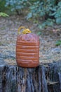 one large dirty brown plastic bottle stands on the stump