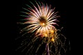 One Large Firework with Three Small Firework Bursts Royalty Free Stock Photo