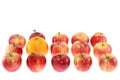 One large orange and red apples Royalty Free Stock Photo