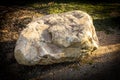 One large outdoor rock on a sunny day