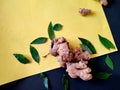 One Large piece of Ginger surrounded with curry leaves Royalty Free Stock Photo