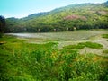 One of large pond of Nayagarh Royalty Free Stock Photo