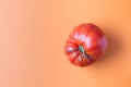 One large red tomato on a colored terracotta background. Ugly food