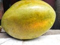 One large ripe papaya is taken from the side cornerÃ¯Â¿Â¼