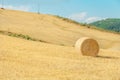 One large stack of straw rolled into a roll and several small ones in the distance lie on a sloping mowed field somewhere in Royalty Free Stock Photo