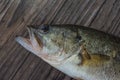 One largemouth bass on a cuttingboard