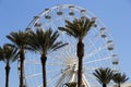 Bright blue sky and several palm trees at base of Ferris Wheel, Orange Beach, Alabama, 2018